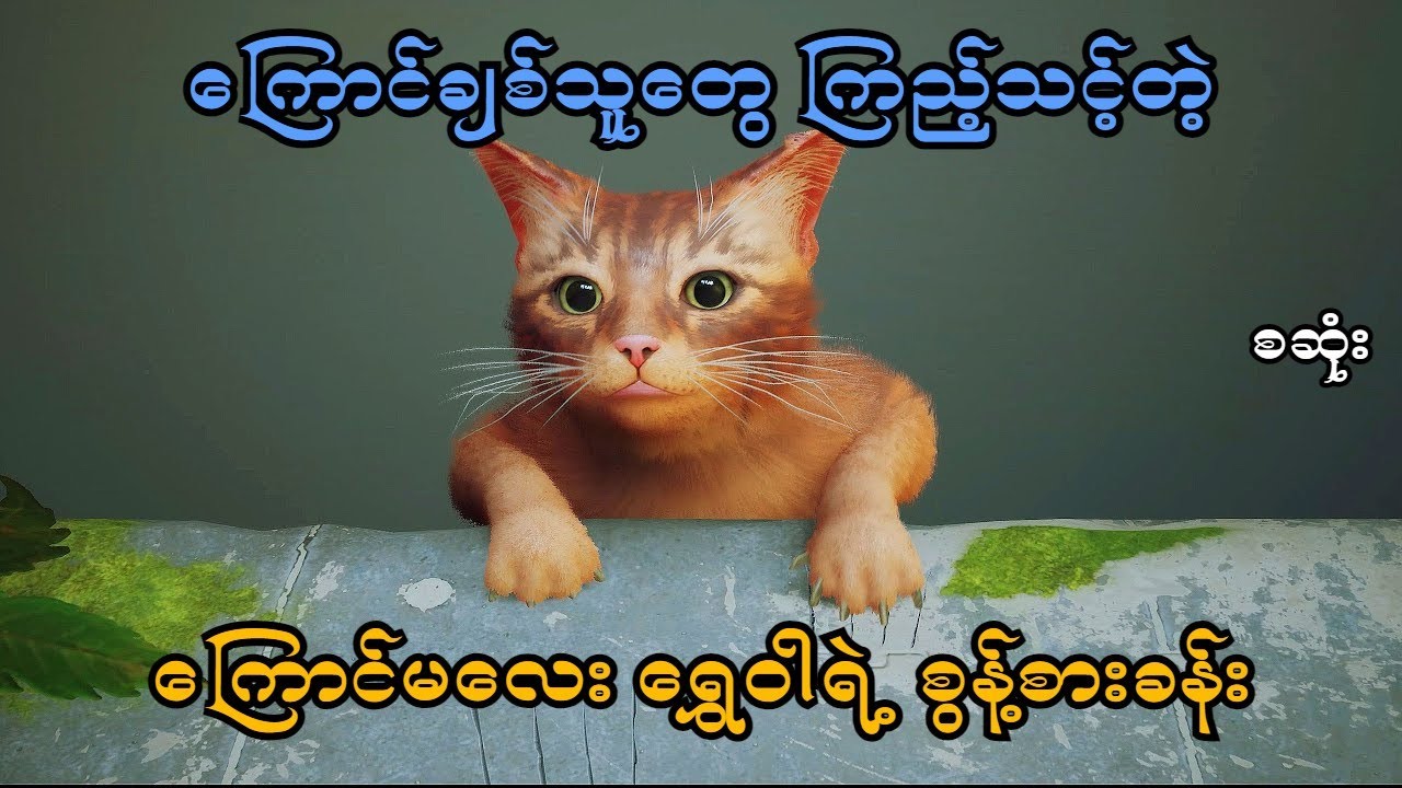 ကြောင်မလေးရွှေဝါရဲ့ စွန့်စားခန်း (စဆုံး) (Stray PS5) (SMART On Live)
