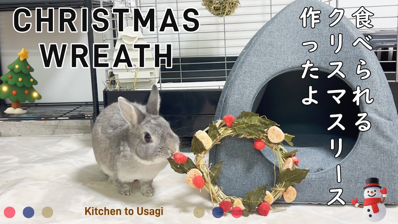 【うさぎのクリスマス】食べられるクリスマスリース作り／リースを食べるうさぎ