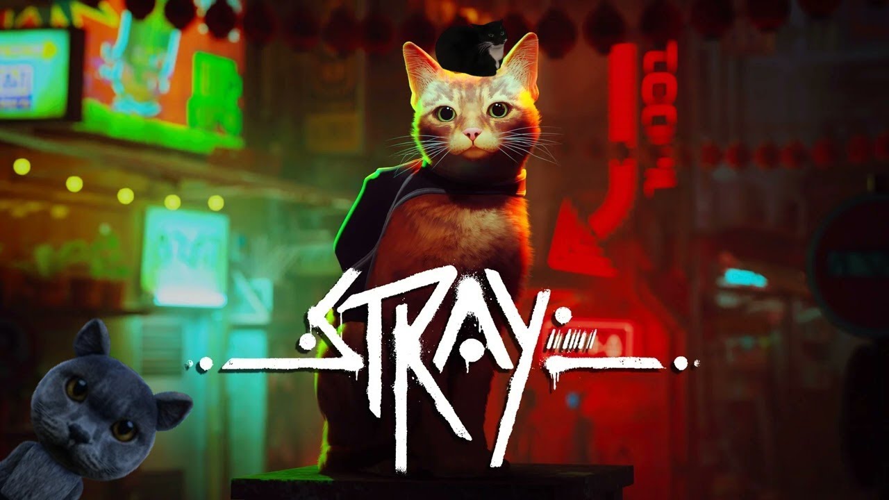 Stray Der Anfang (Folge 1)