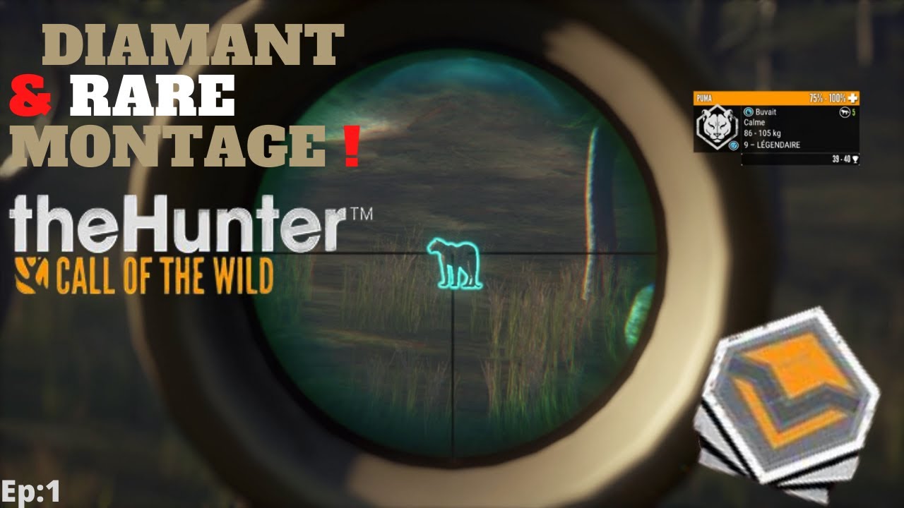 Diamant et Rare Montage ! 11 Diamants / 8 Rares ! | #1The hunter call of the wild Fr