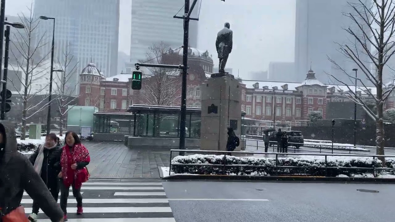 Heavy Snow @Tokyo dream walking experience 02-08