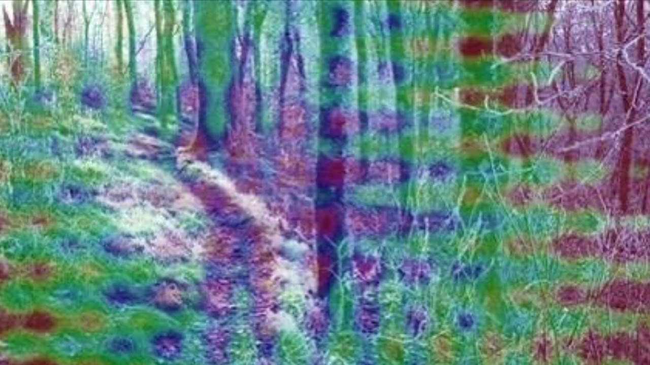 Bay view (prod. discodive)