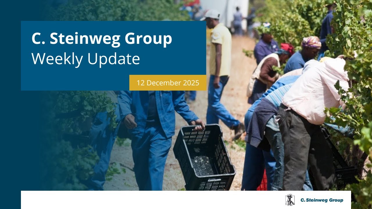 Weekly Update 12 December 2025
