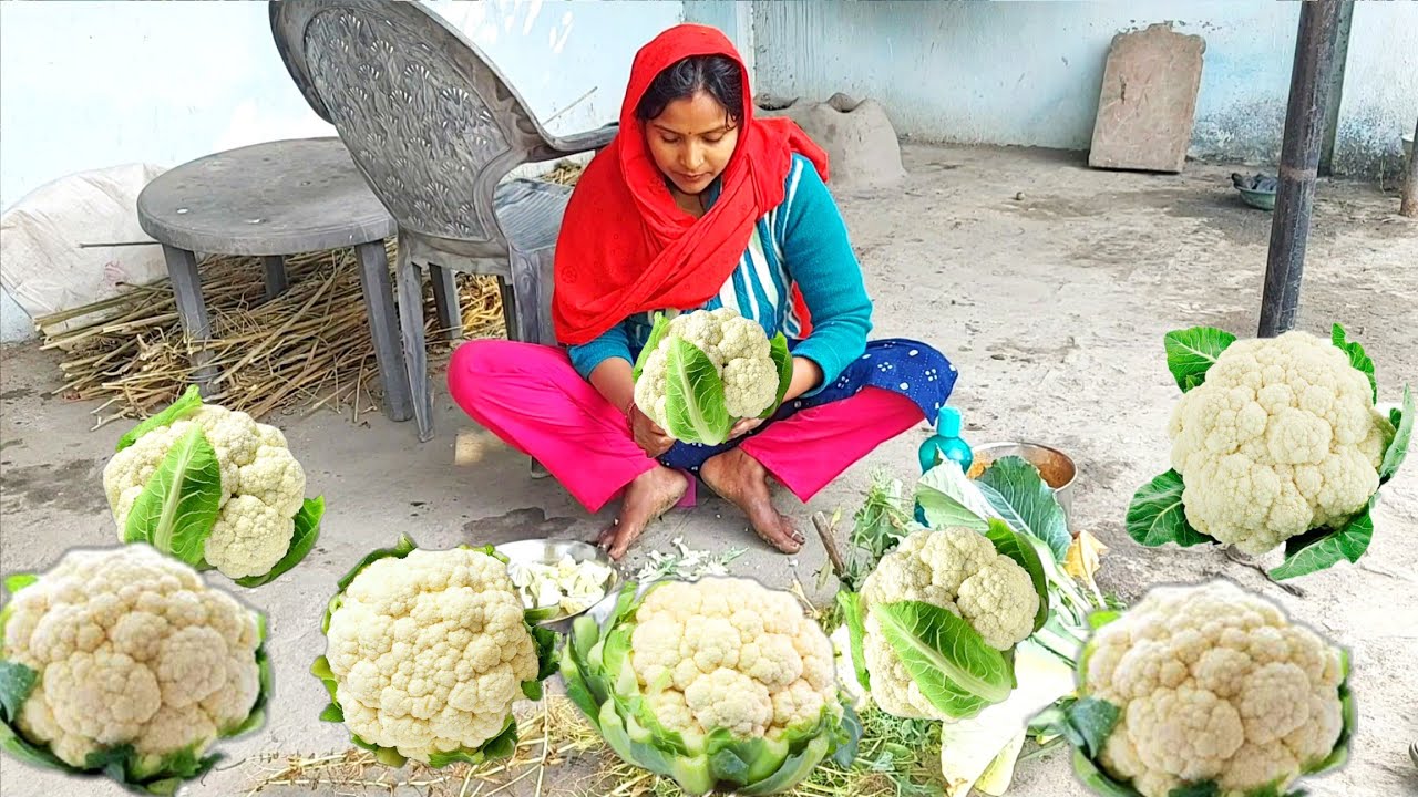🌞सुबह गोभी 🌚शाम गोभी इतना गोभी इससे पहले हमने कभी बनाकर नहीं खाया😂 Anishka 🌾Village Lifestyle Vlog