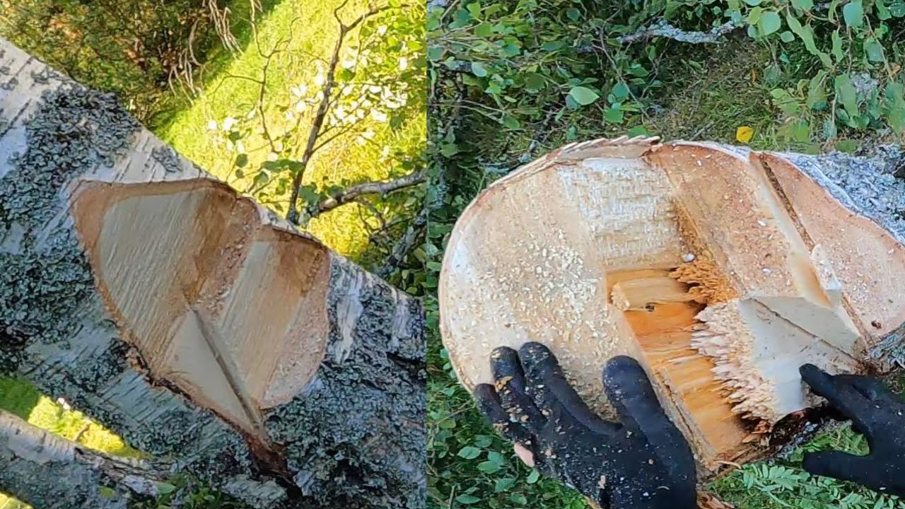 Erikoiskaatolovelle on käyttöä