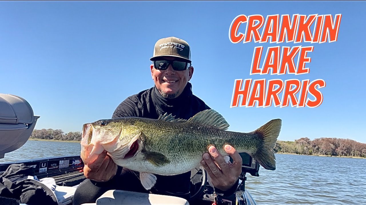Fishing Offshore Grass On The Harris Chain Of Lakes!  Lake Harris!!