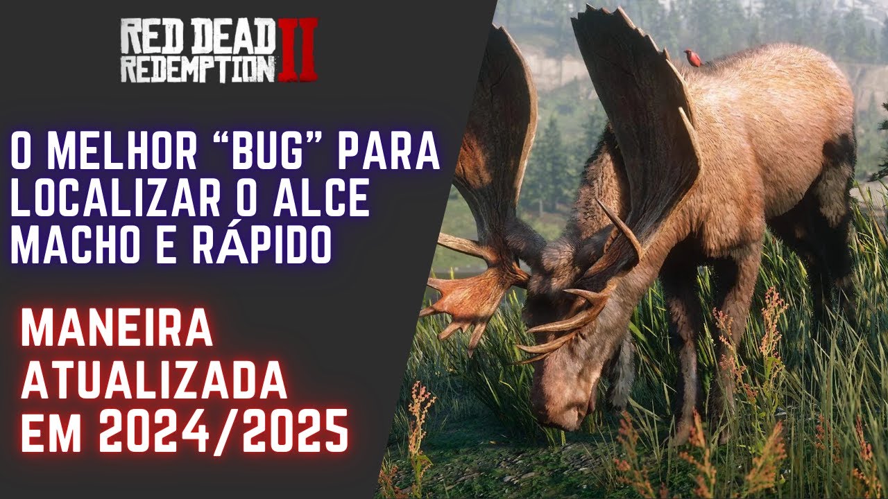 O melhor 
