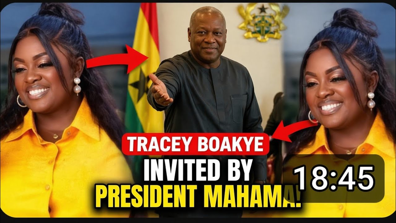 Sh0ck:TraceyBoakye invited Pres Mahama as she celebrates her birthday in Private jet.