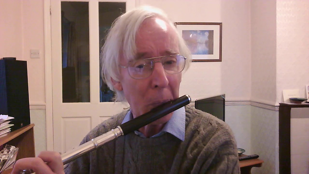 Flute Tone. Trevor Wye Practice Books - Yellow tone and purple tone.
