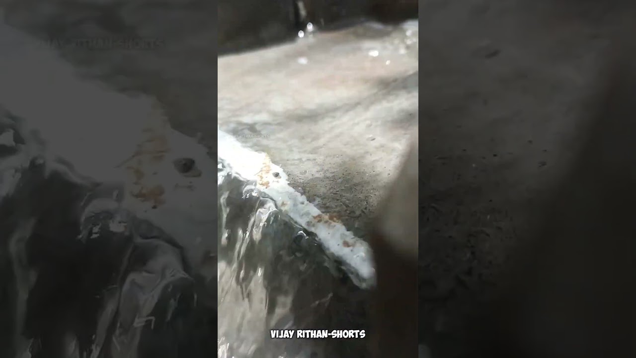 Dam Overflow Release 💦 | Massive Water Flow #DamRelease #FloodWater #DamOpening