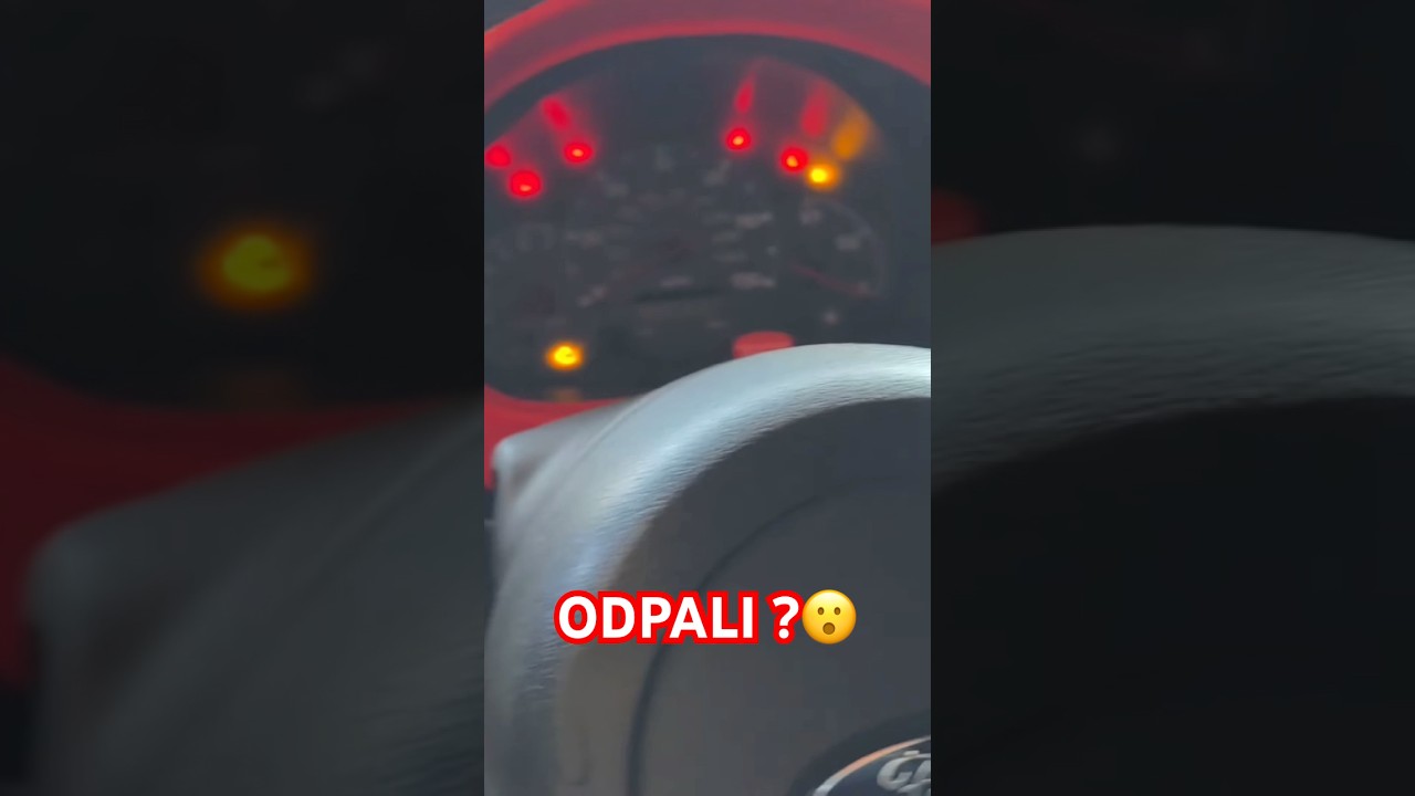 ODPALI SYRENKA ?😮&hearts;️ #graoplon #shorst #funnymoments #viral
