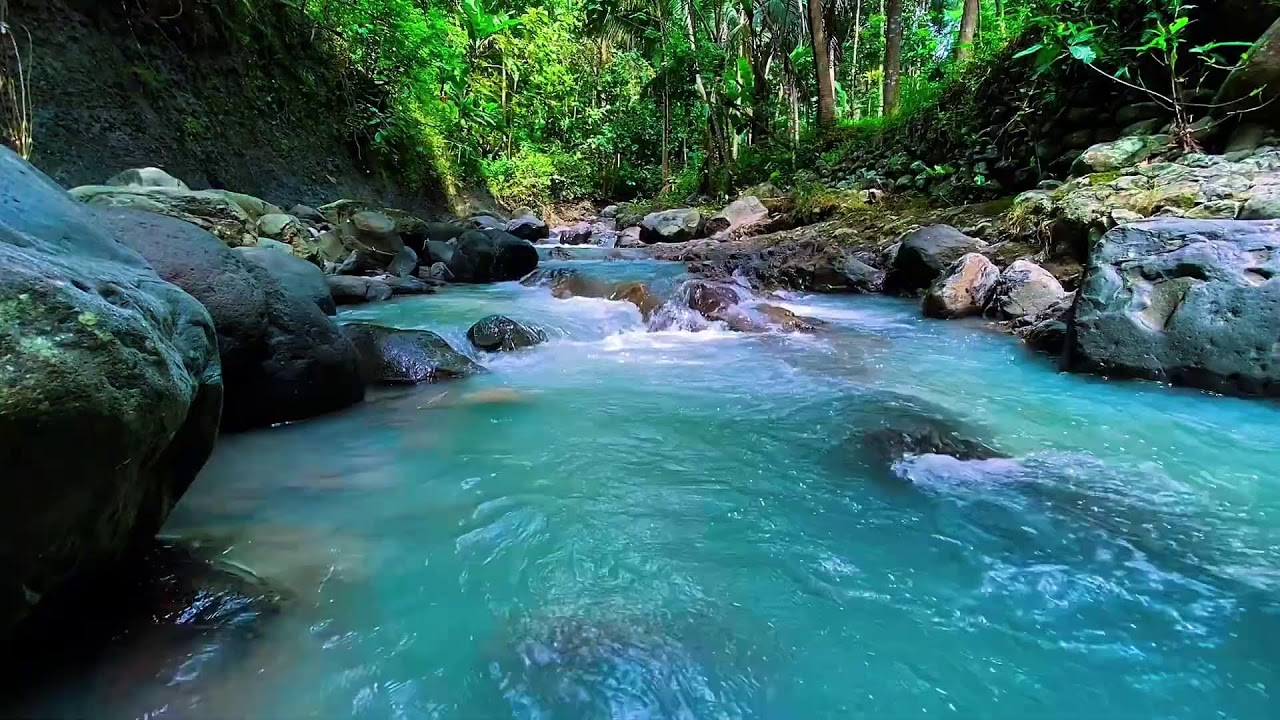 Flowing Mountain Water Sounds, Forest River Stream, Deep Sleep