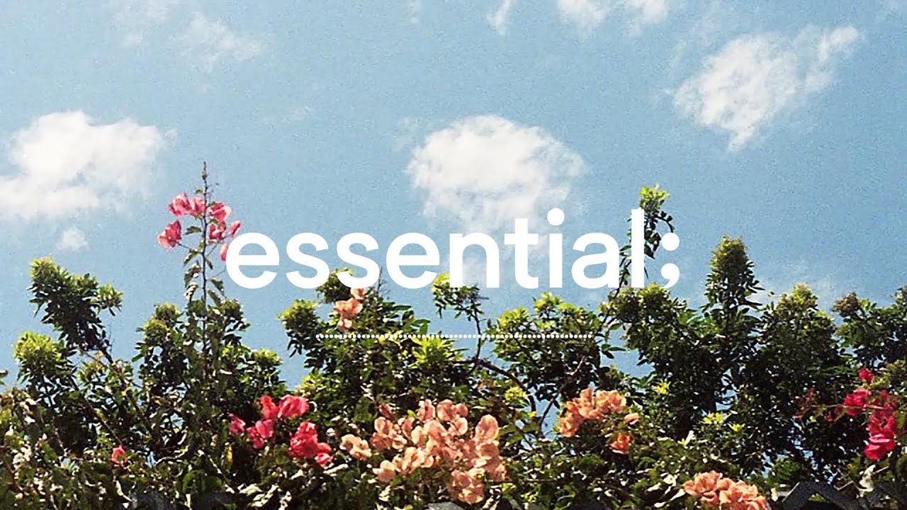 songs to while away the afternoon in spring 🌻 cafe vibes pop songs
