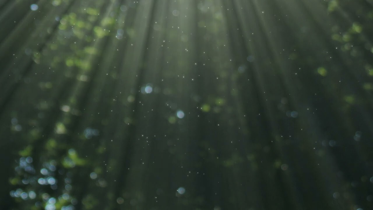 Forest River and Hand Drum (8 Hour Meditation)