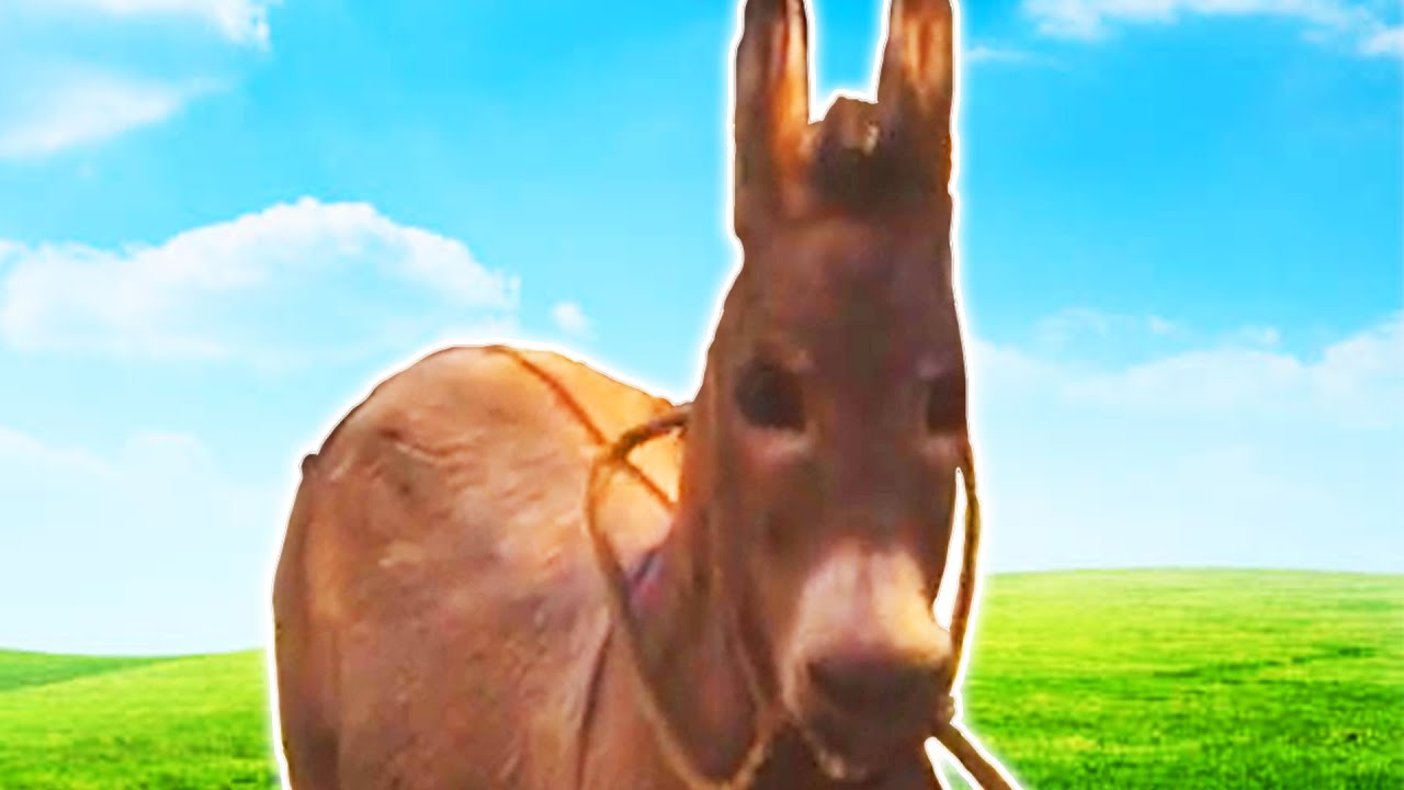trolling awful red dead rp server gone wrong