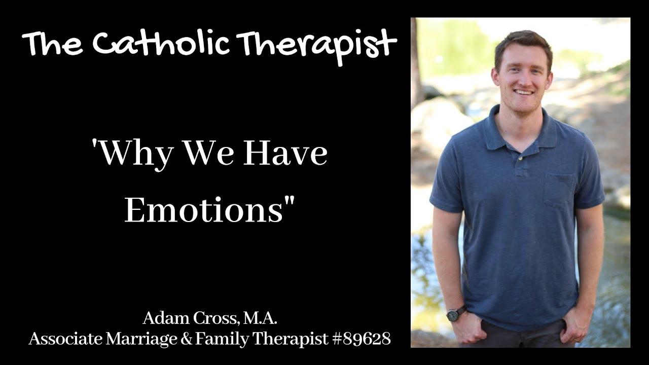 The Catholic Therapist - Why We Have Emotions