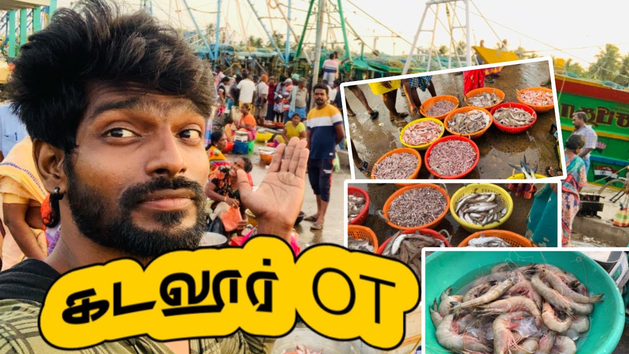 Cuddalore OT harbour Fish Review Vlogs | Mejonevlogs | Tamil | #subscribe