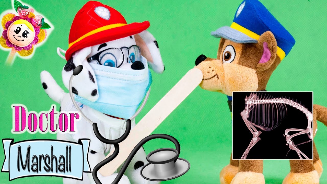 LA PATRULLA CANINA: CACHORROS Y BEBES OS TOCA UN CHEQUEO! |JUEGO DE DOCTOR Y KIT DE MEDICO Español
