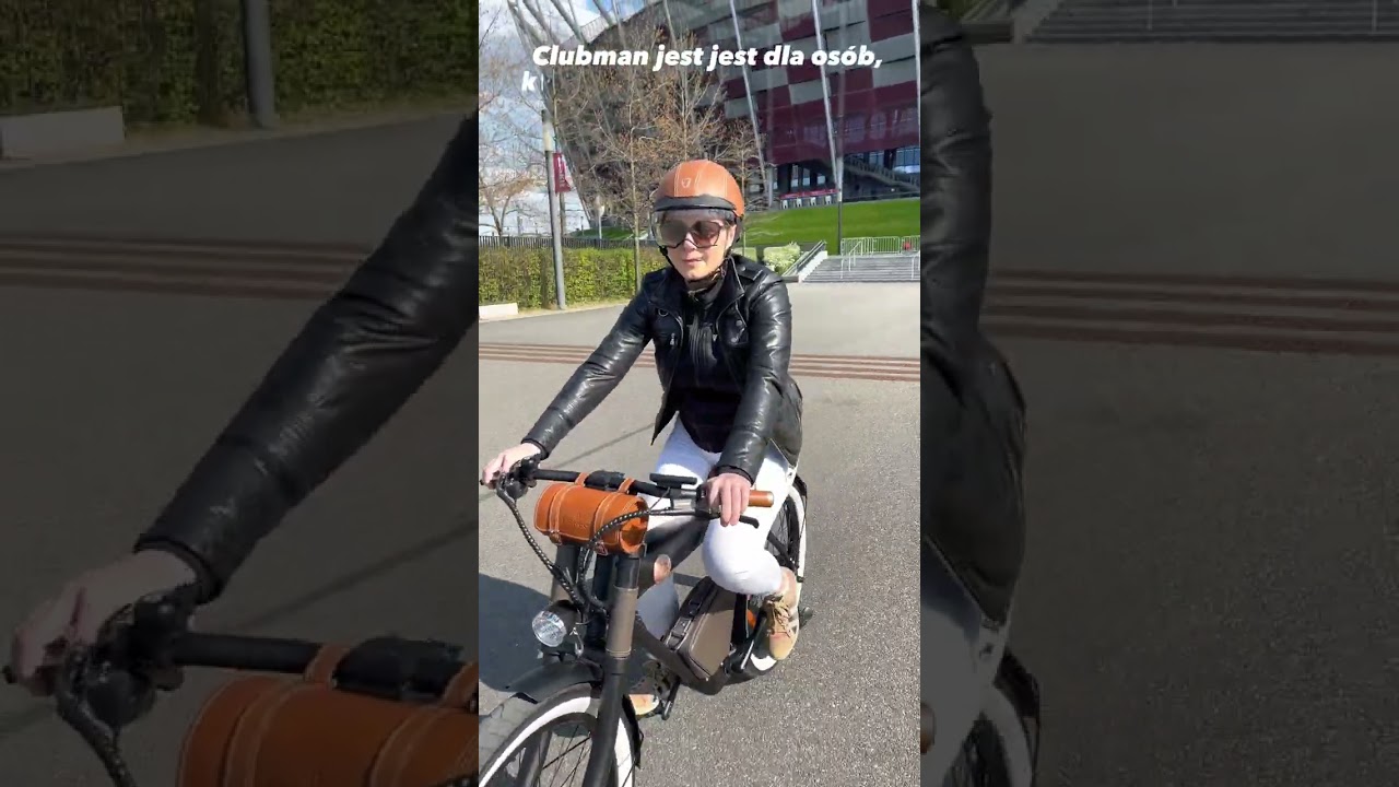 Rower elektryczny Rayvolt Clubman