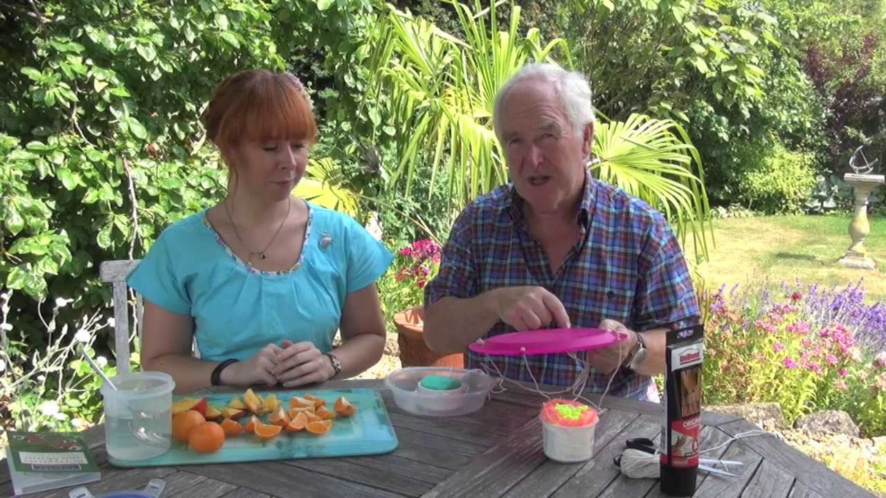 Green Crafts - Butterfly Feeders