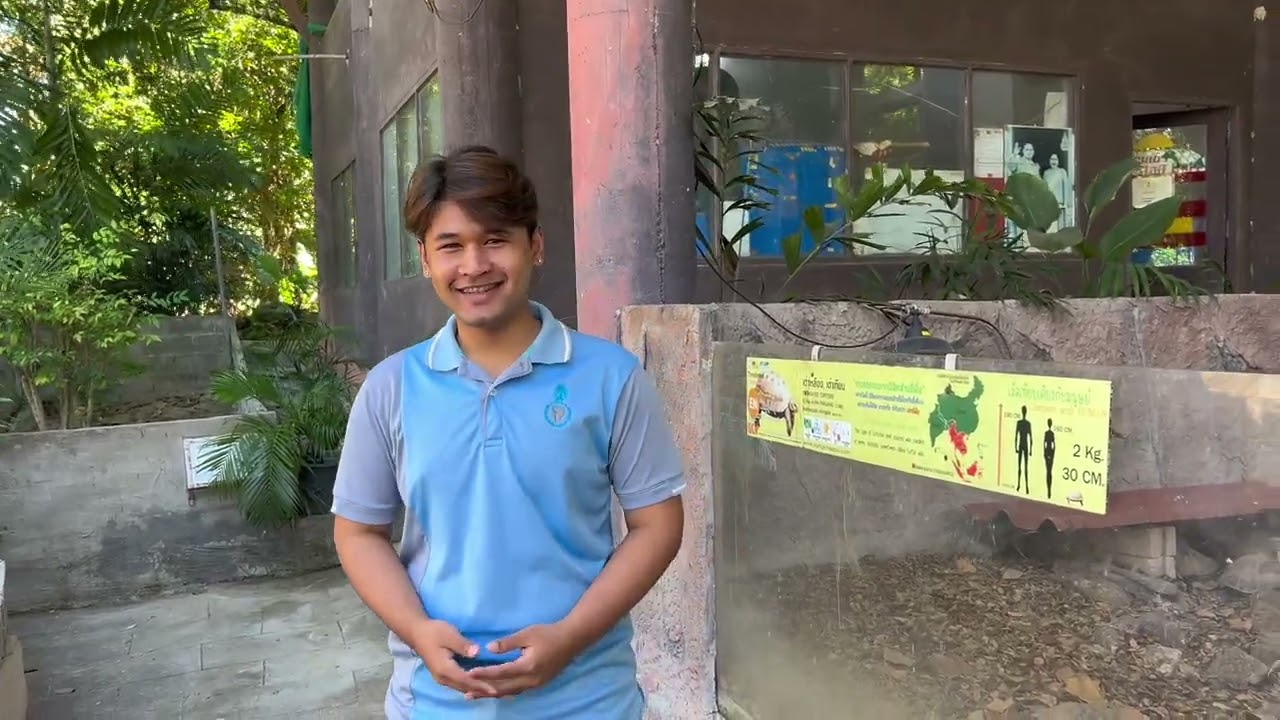 11 กุมภาพันธ์ 2569