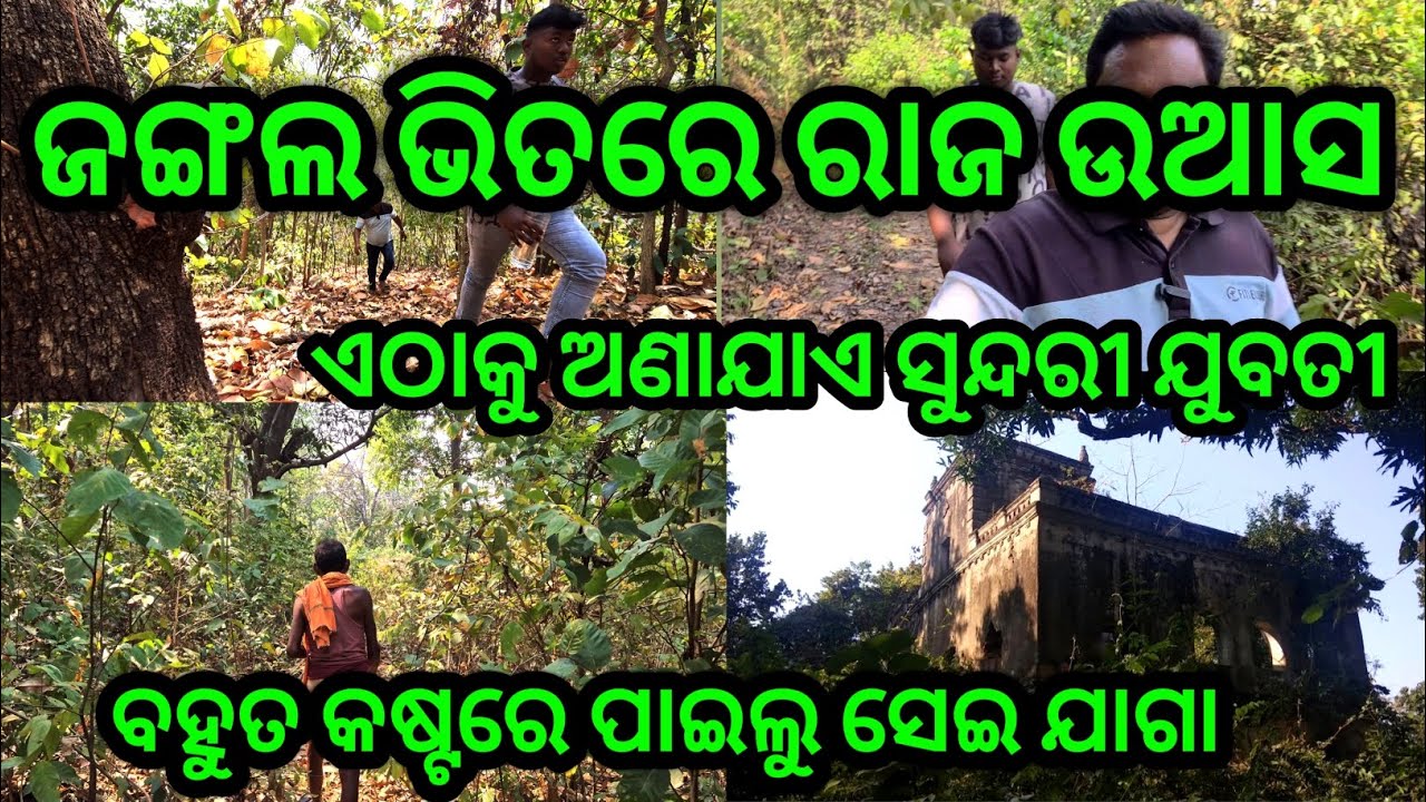 ଜଙ୍ଗଲ ଭିତରେ ରାଜ ଉଆସ // ଏଠାକୁ ଆସନ୍ତି ସୁନ୍ଦରୀ ଯୁବତୀ // Bulajhar Picnic Spot, #sanjayavlogs #odiavlogs