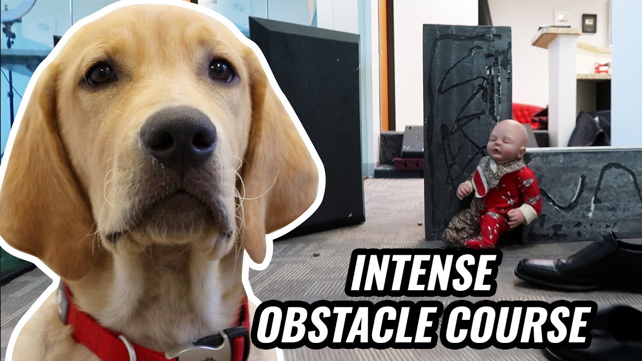 TROOPER RUNS AN OBSTACLE COURSE!!