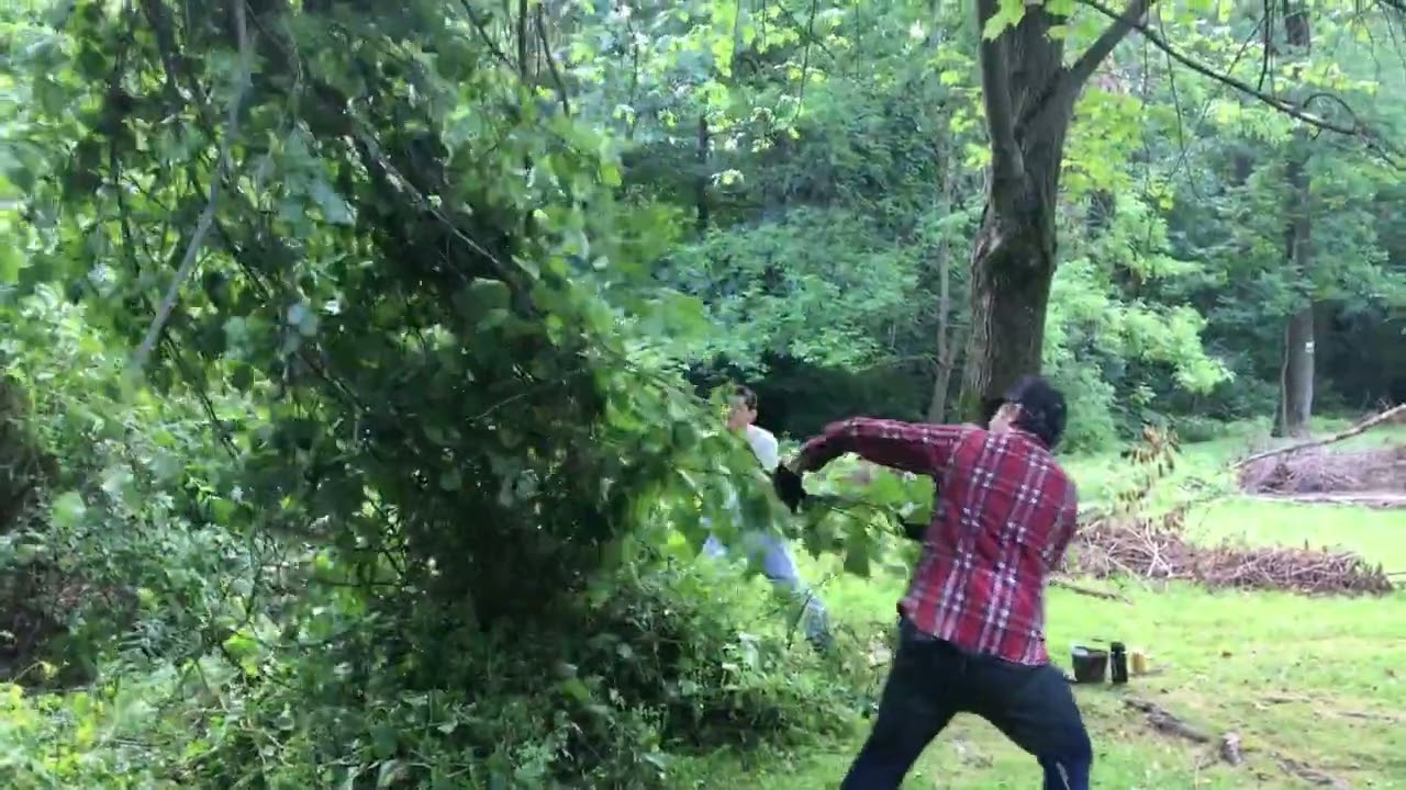 karakung clearing