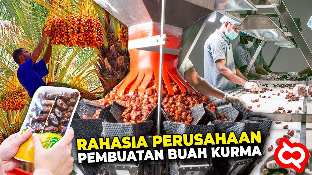 Sering Dikonsumsi Saat Buka Puasa tapi Gak Tau Cara Buatnya! Begini Proses Mesin Buah Kurma Bekerja