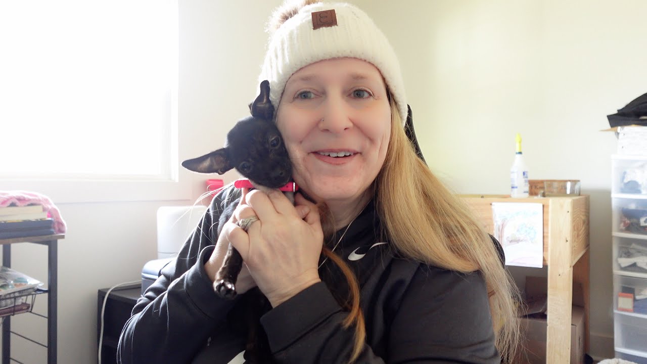 Vlogmas Day 13 ! Dollar Tree Haul Ya'll ! Found some new things! * Mrs Prindables Apples arrived!