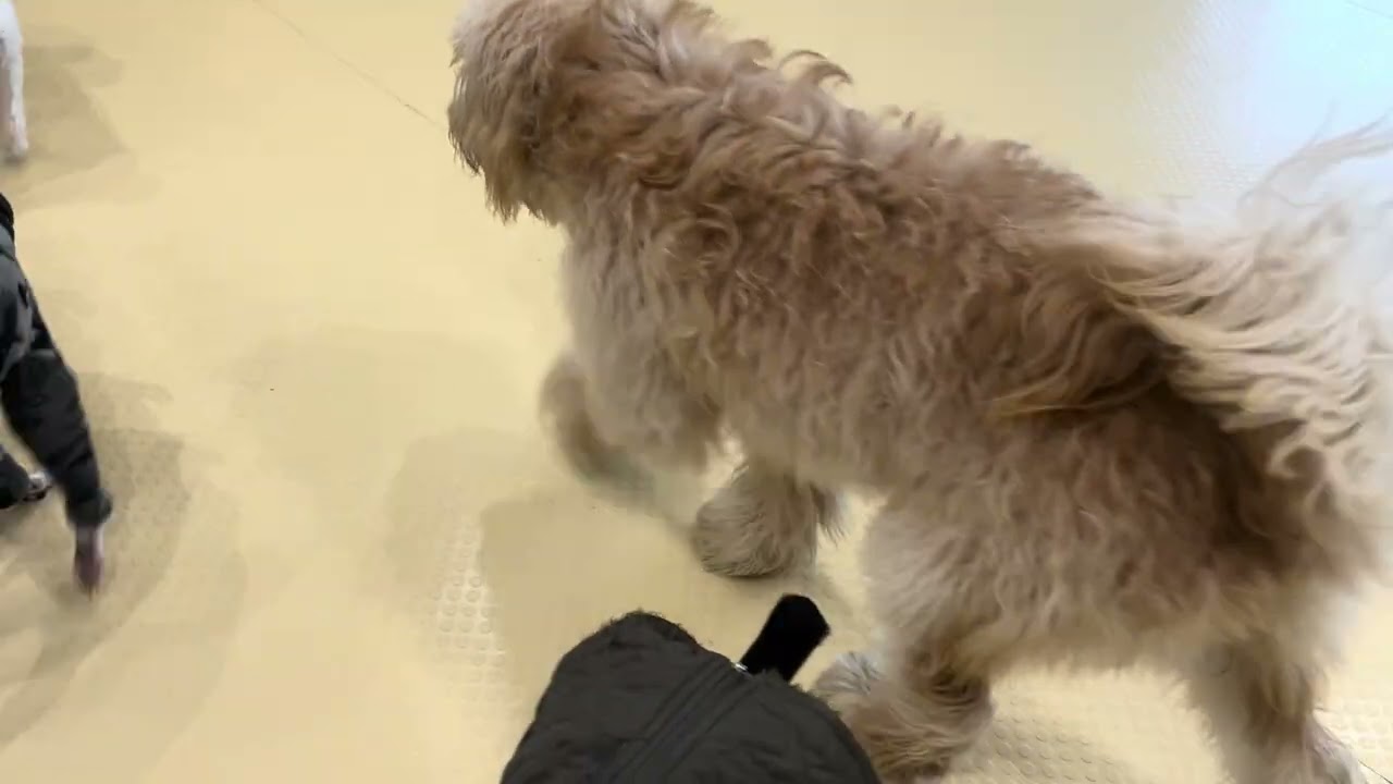 2026.1.10 フリータイムの様子