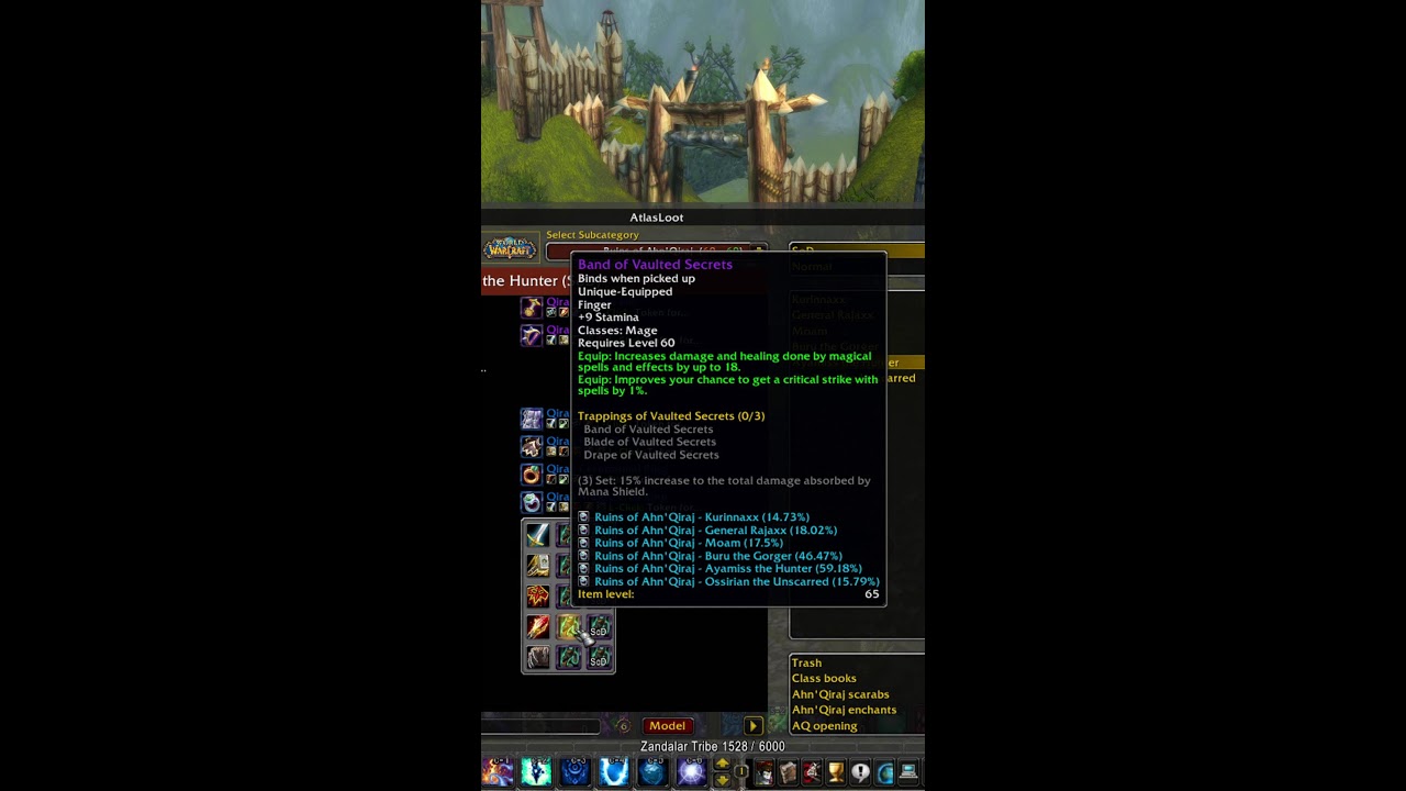 Season of discovery lvl 60 Mage bot busting