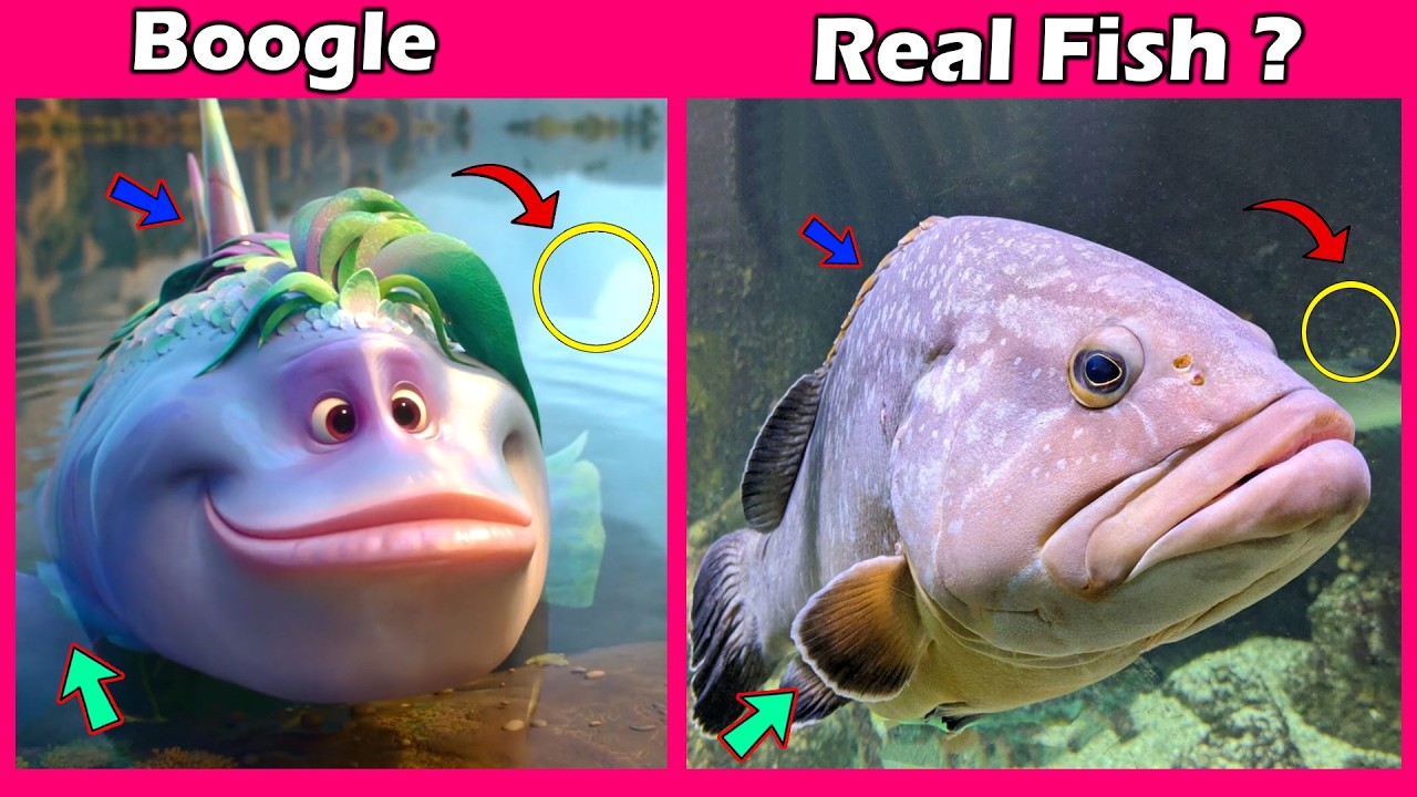 Swapped Real Life | Ollie, Boogle, Ivy & More