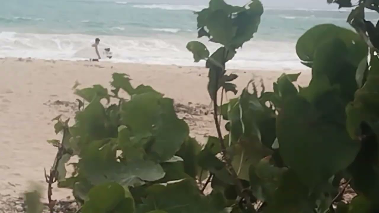 Pantai Jadi Arena Surfing