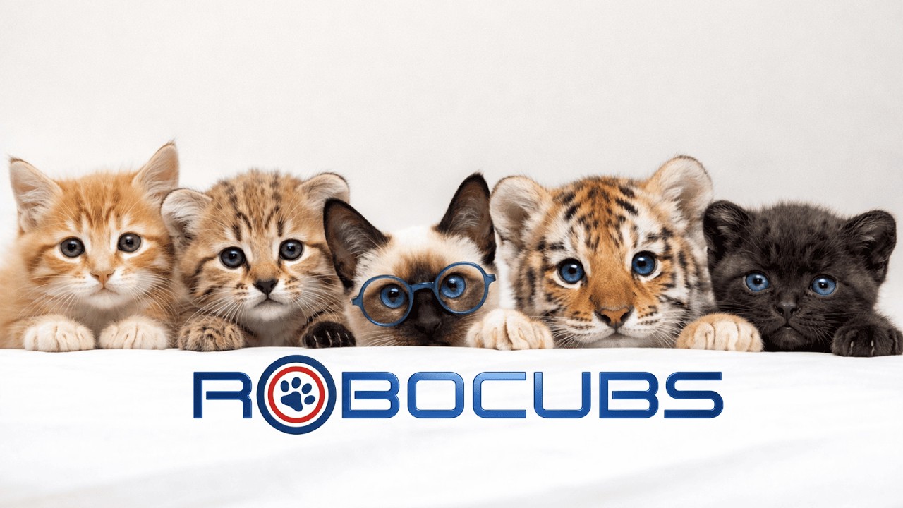 🐯ROBOCUBS 😻🤖 “EL TALLER  DONDE EL FUTURO DESPIERTA✨