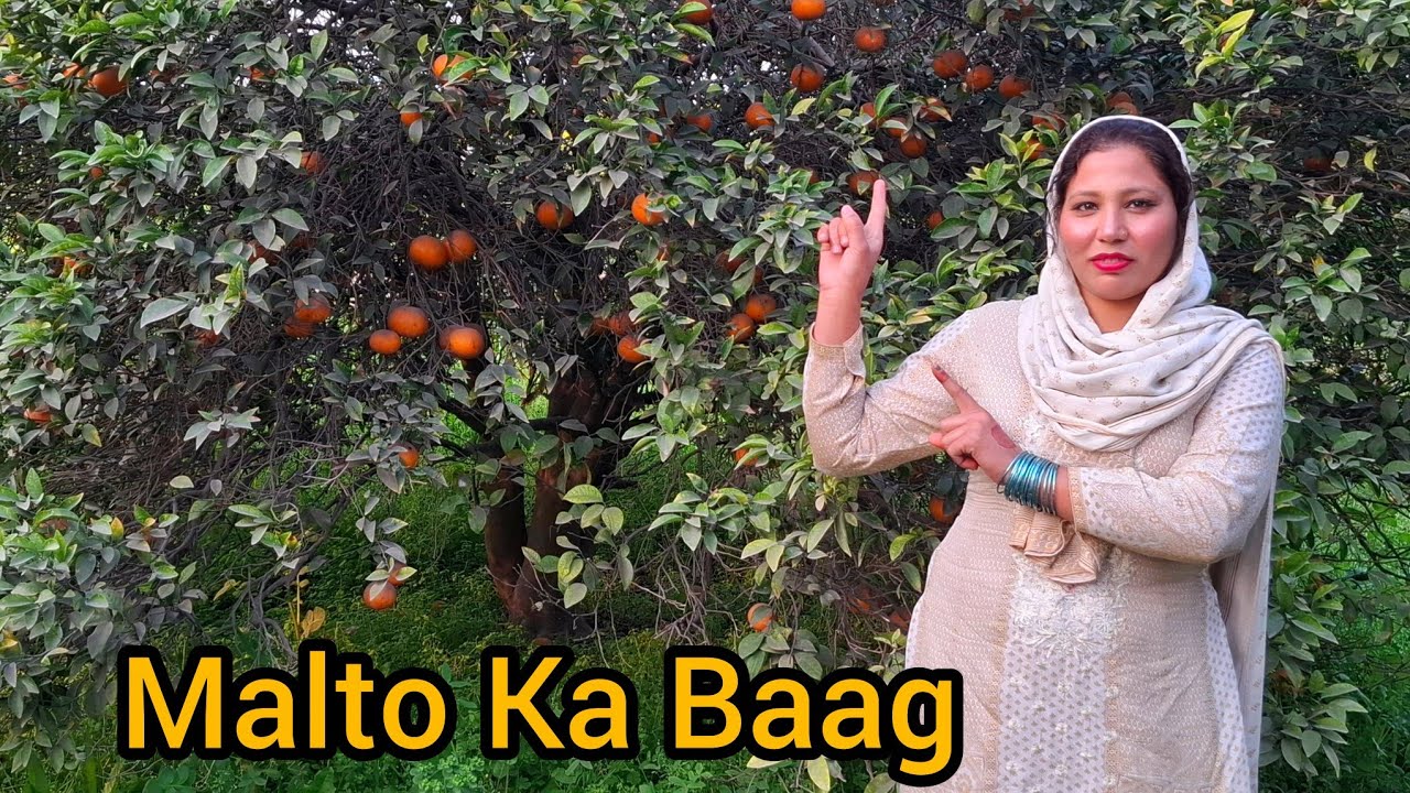 Aj mai ne baag ki saer ki 😍 || Pendu Family vlogs ||