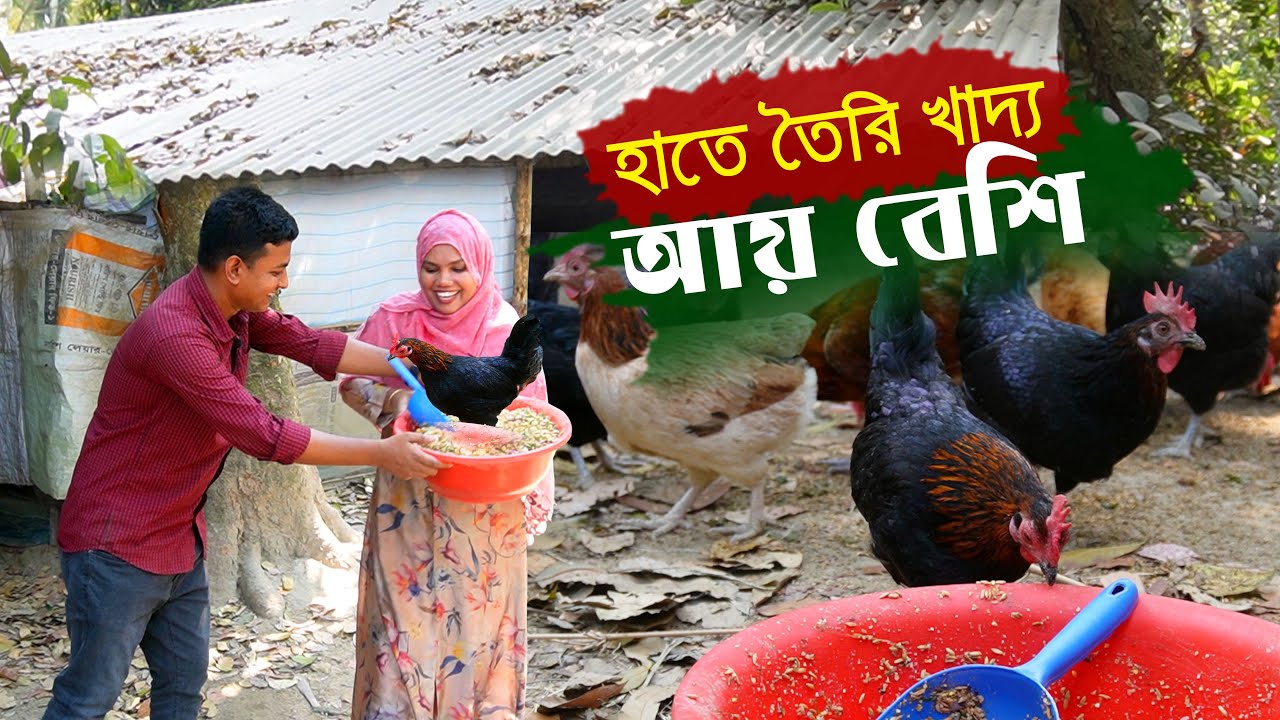 মুরগির হাতে তৈরি খাদ্য খরচ কম লাভ বেশি - দেশি মুরগির খামার | Desi murgi palan || কৃষি ঘর