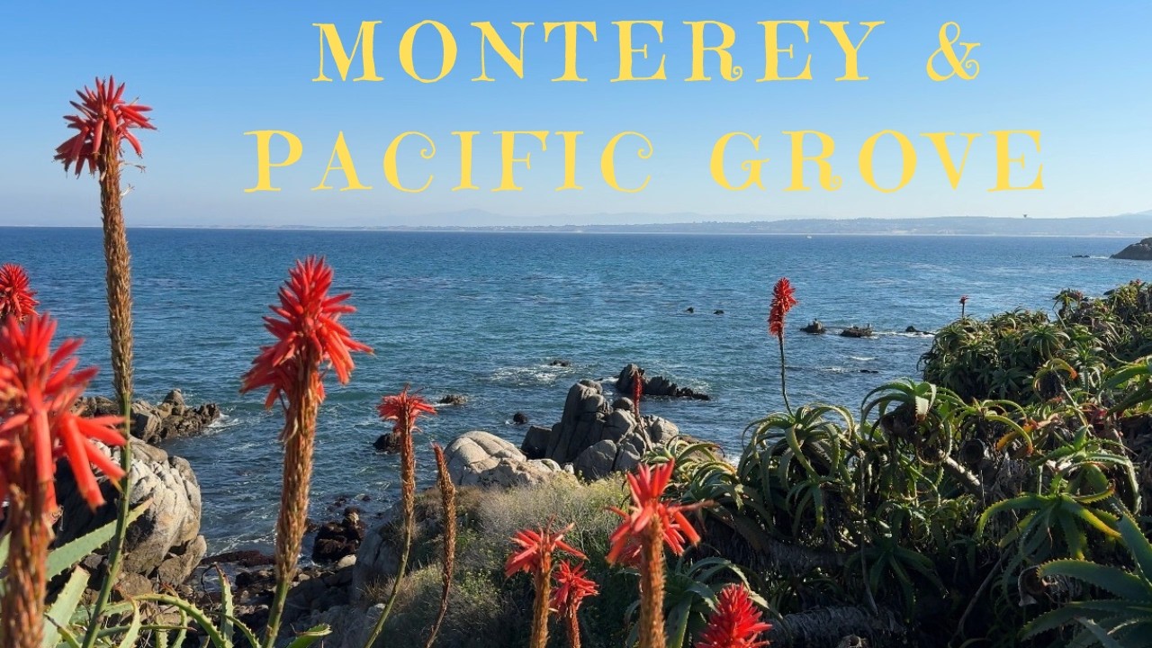 Winter in Monterey | Pacific Grove
