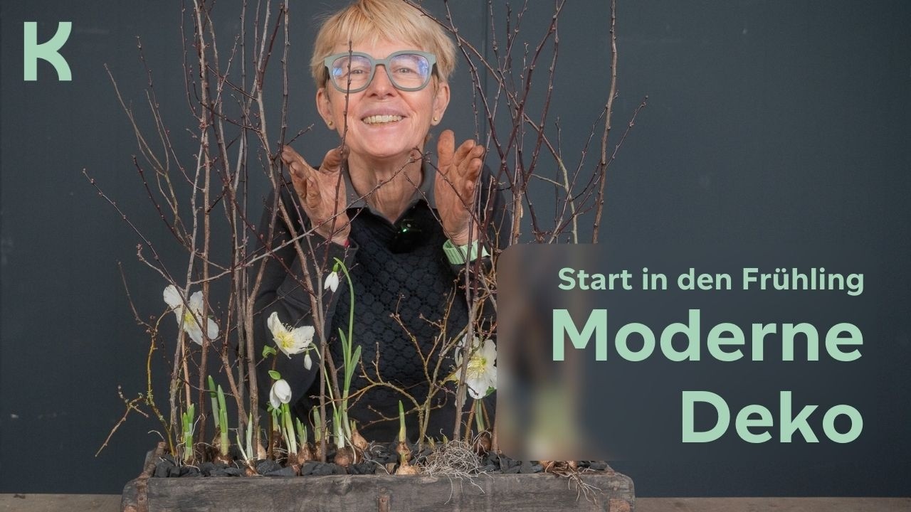 Start in den Frühling – moderne Tischdeko mit Zweigen & Zwiebelblühern