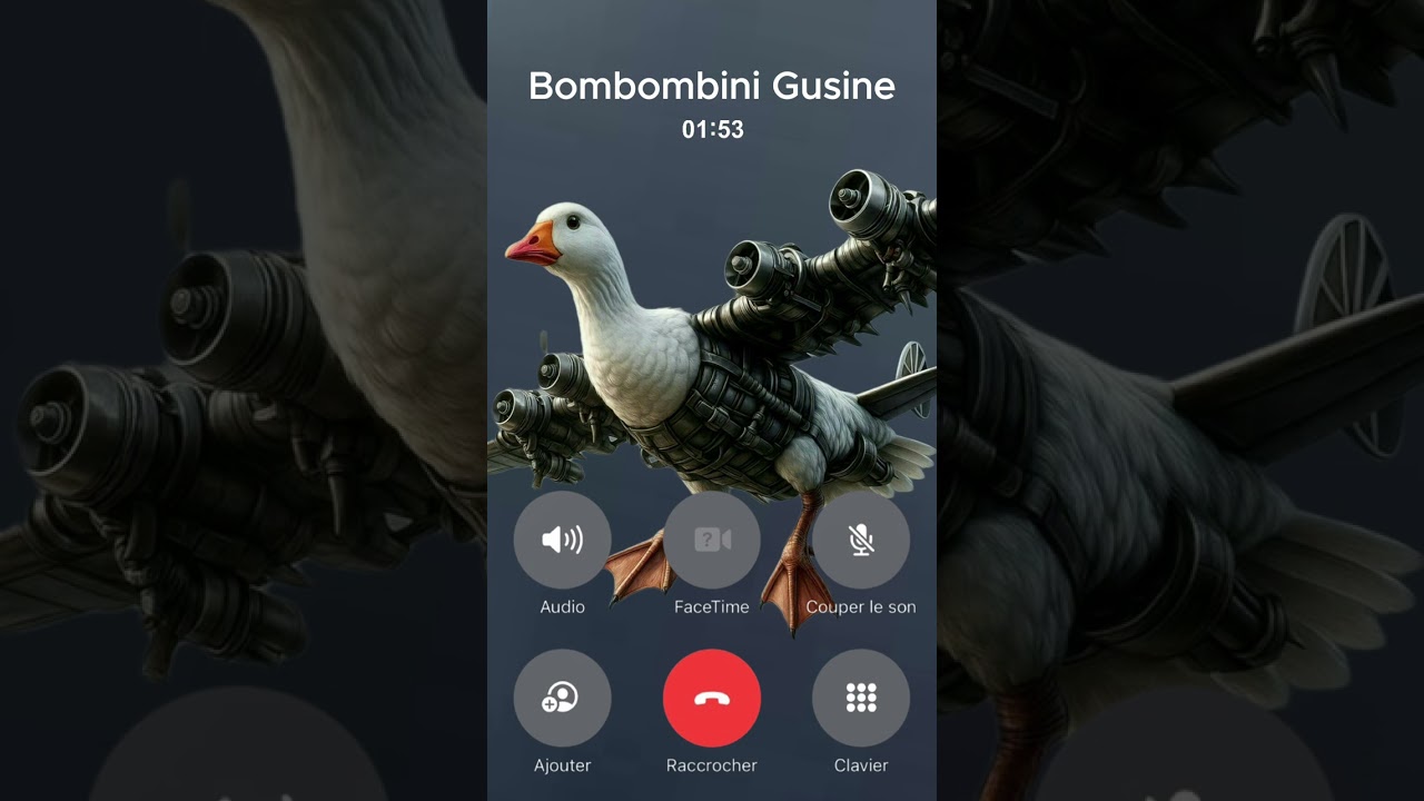 APPEL BOMBOMBINI GUSINE IL RÉPOND