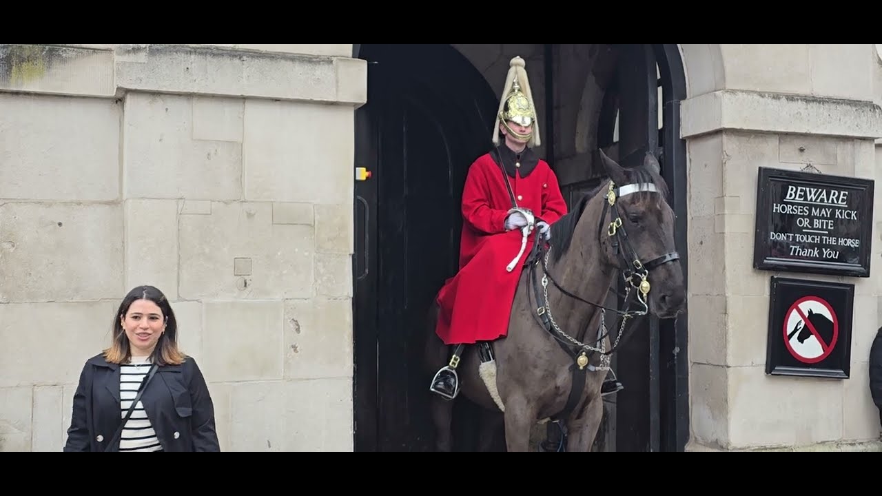 Horse kicks the door guard hits the button soldier  checks the hoofs #kingsguard