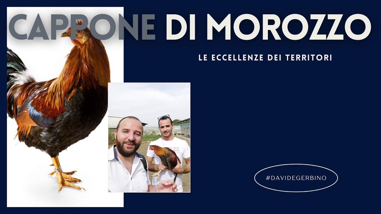 #DavideGerbino presenta: IL CAPPONE DI MOROZZO DA EL CASON