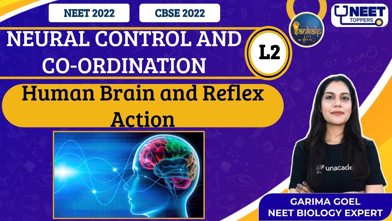 Sankalp: Neural Control and Co-Ordination L-2 | NEET Toppers | Garima G.
