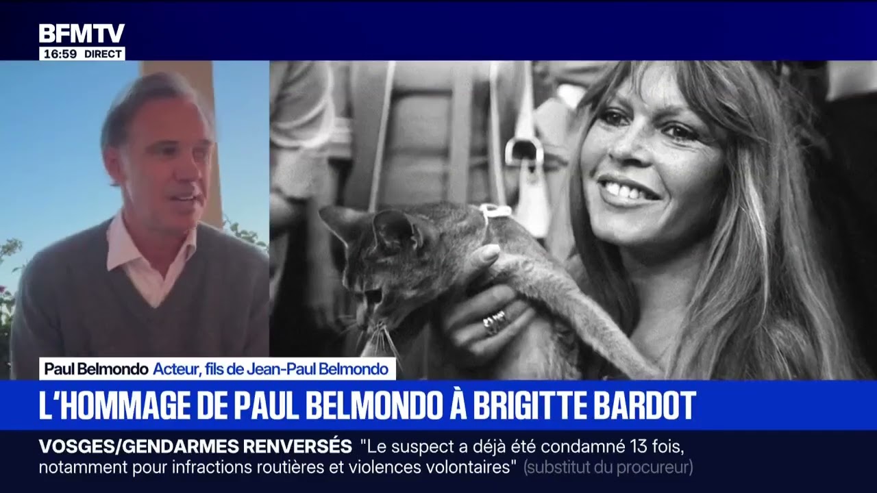 Paul Belmondo rend hommage à Brigitte Bardot (2025)