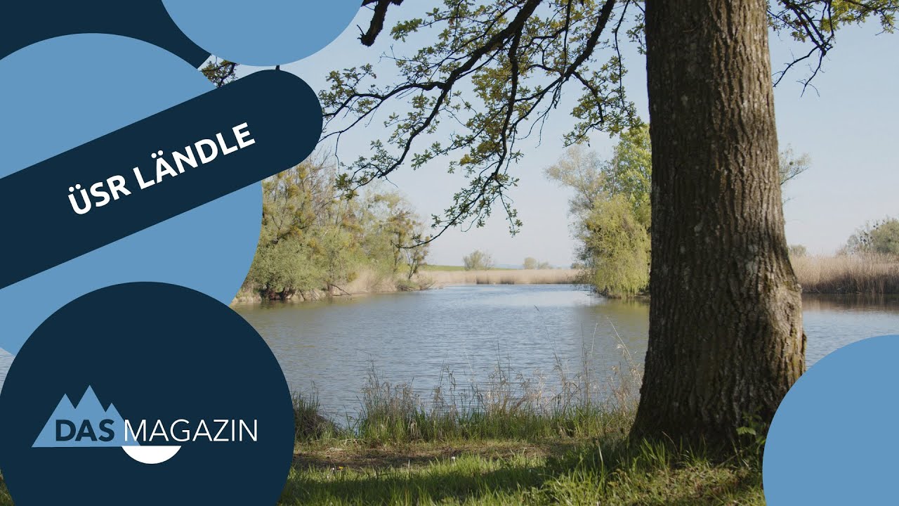Schleienl&ouml;cher im Harder Rheindelta | &Uuml;sr L&auml;ndle