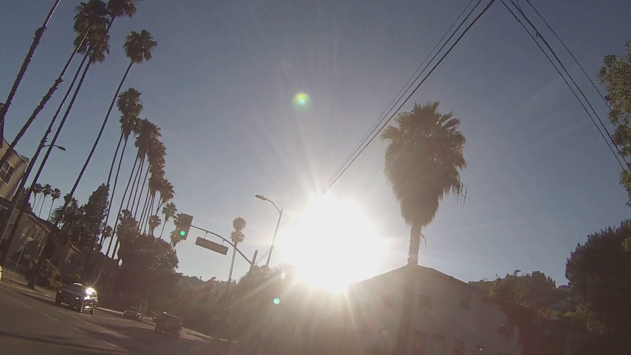1st car video, palm trees