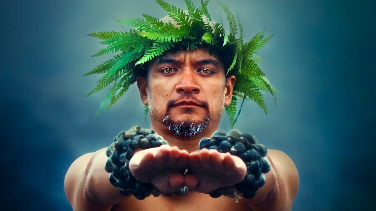 Hula is Hawaii