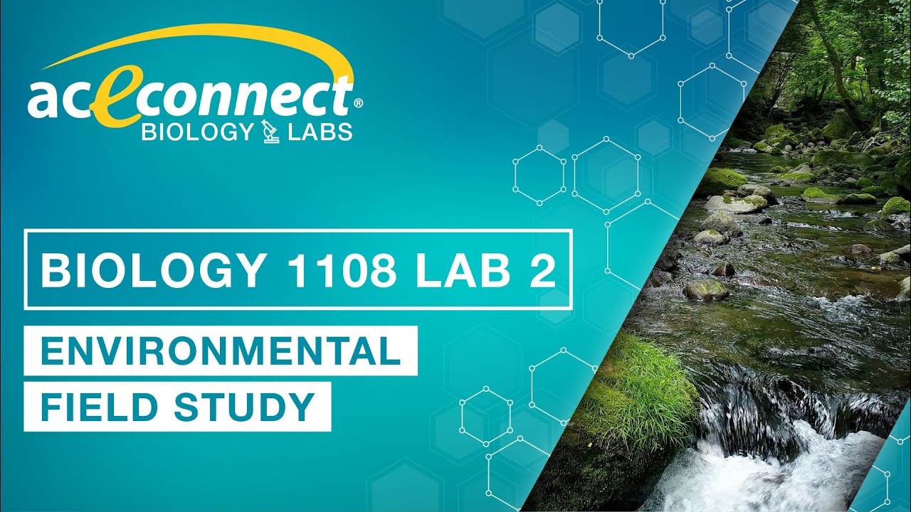 Biology 1108 Lab 2 || Environmental Field Study