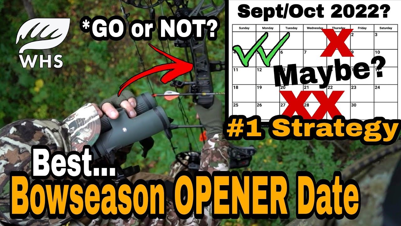 Best Bow Season Opening Day Strategy