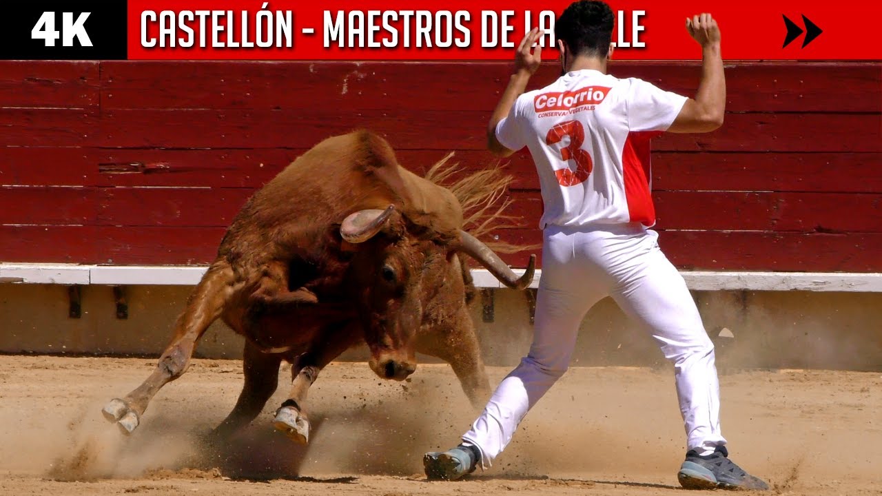 LOS MAESTROS DE LA CALLE LLEGARON A CASTELLÓN